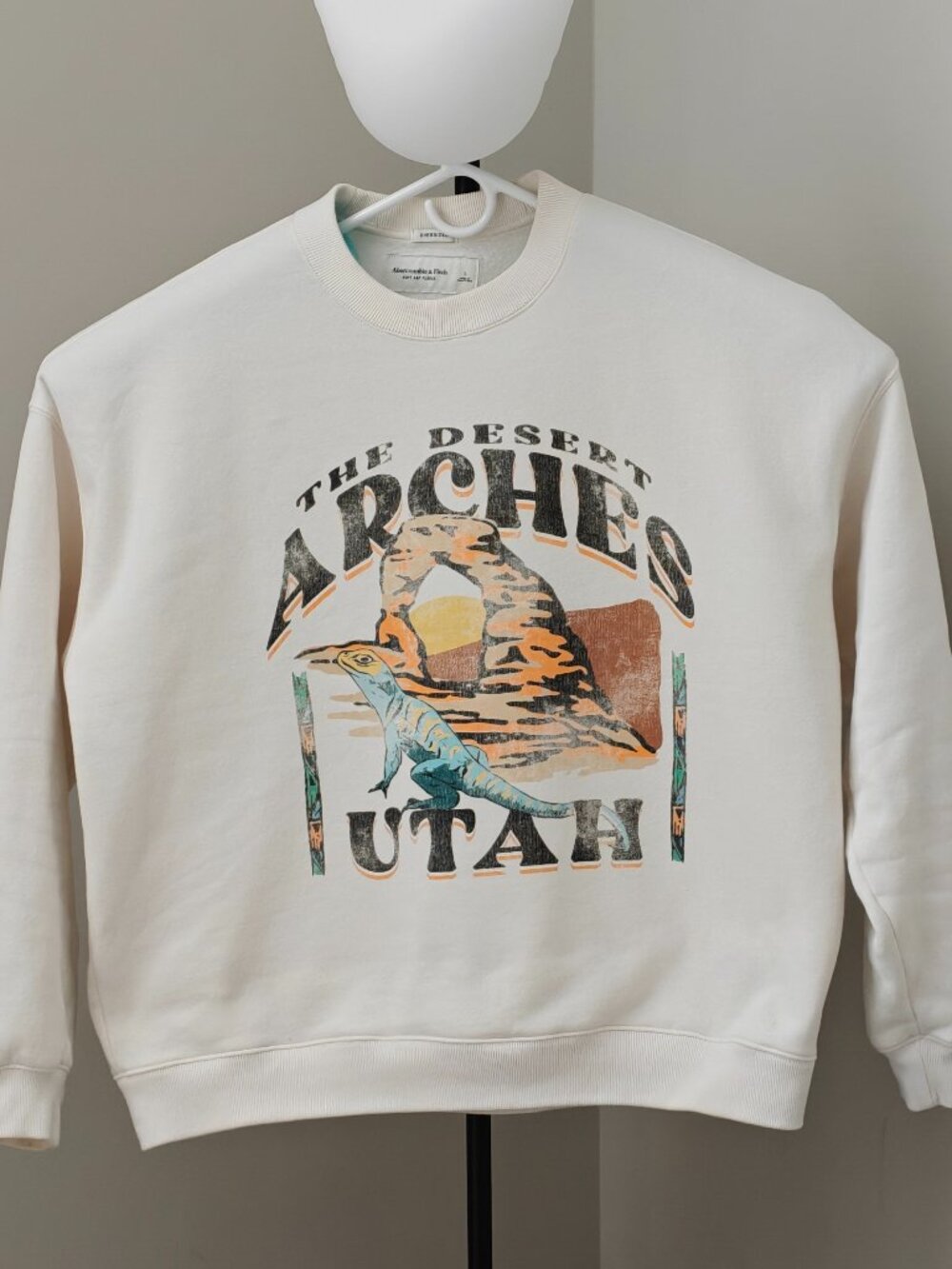 Abercrombie sweatshirt viral rare